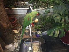 -丽江庭院之丽江往事(安定门店)