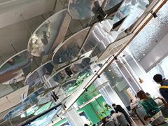 -探窝·竹笙椰子鸡(杨箕店)