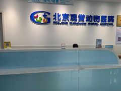 -北京观赏动物医院·24小时大型综合·猫专科·异宠专科