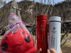 -北京龙庆四季香农家饭庄·灶台鱼·碳烤虹鳟鱼(龙庆峡店)