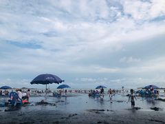 -台山黑沙湾海浴场
