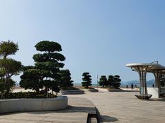 -演武大桥观景平台