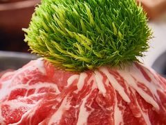 -渔惑·中山脆肉鲩火锅(仁恒梦店)
