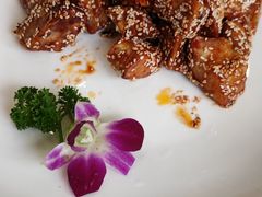 -新恬乐大酒家(沧达大厦店)
