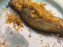 -金枝玉叶上海人家食府(三里河店)