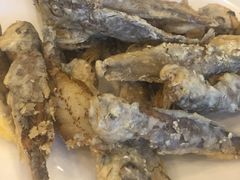 -枫林饺子