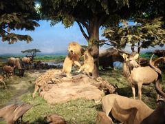 -国家自然博物馆