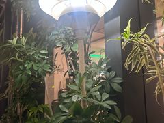 -gaga(深圳南山益田假日广场店)