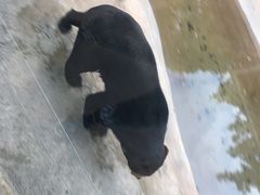 -昆明动物园