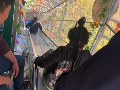 -丹东天桥沟景区