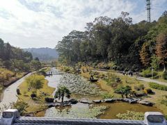 -东莞植物园