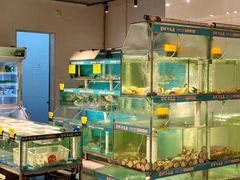 -翟辉冬瓜盅火锅(南村万博店)