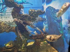 -烟台海昌鲸鲨海洋公园