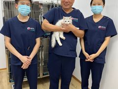 -良伴无忧宠物医院(泰欣嘉园店)