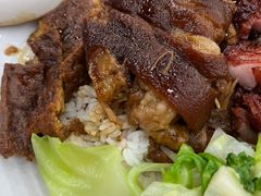 -瑞霖·隆江猪脚饭