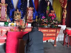 -龙口南山旅游景区