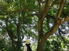 -冶父山国家森林公园