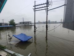 -武汉关码头(轮渡站)