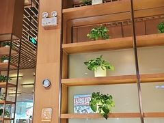 -西贝(华发商都店)