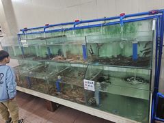 -海恋园海鲜餐馆