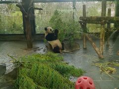 -上海野生动物园