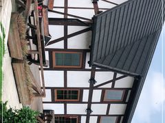 -金山农民画村-枫泾波兰倒置屋