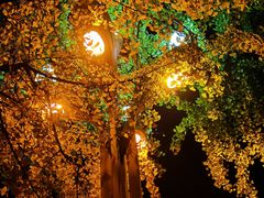 -四川大学(华西校区)