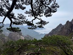 -黄山玉屏楼宾馆餐厅