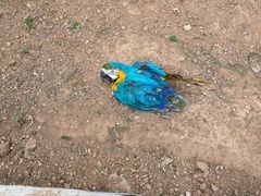 -石家庄市动物园