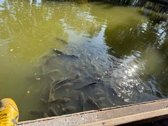 -酷鱼垂钓CLUB(朝阳区博大路店 )