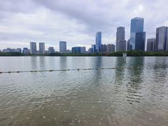 -天鹅湖体育公园