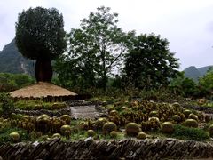 -Club Med地中海俱乐部·桂林度假村