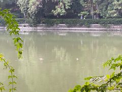 -浮庄