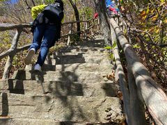 -天女山森林公园