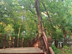-紫金山山顶公园