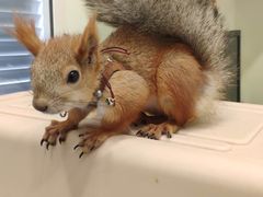 -佳雯宠物医院(四明中路分院)