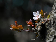 -幕燕滨江·燕子矶公园
