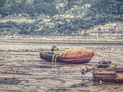 -北岐滩涂