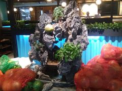 -东椰·海南椰子鸡火锅(朝阳门店)