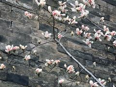 -东华门大街小区