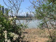 -闽江夜游台江旅游码头