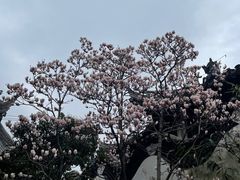 -豫园