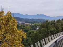 -福道