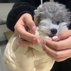 -BELLAREAL新美社