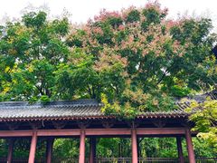 -祥源·阜阳生态乐园