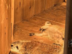 -南戴河国际娱乐中心