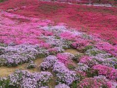 -昆嵛山石门里景区