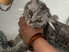 -宠颐生中康贝怡动物医院