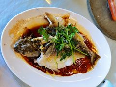清蒸鲚鱼-仑头海鲜城(仑头环村南路店)