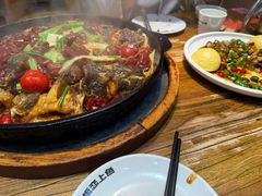 -老板恋上鱼(印象城店)